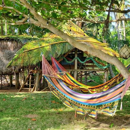Derek'S Place Eco-Lodge Corn Island Exterior foto