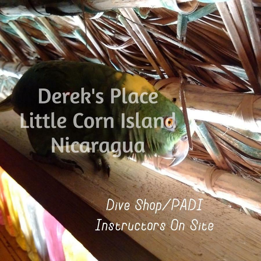 Derek'S Place Eco-Lodge Corn Island Exterior foto